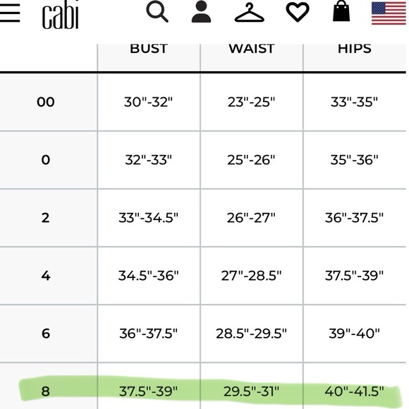 NWT CAbi Onyx Swishing Carwash Flapper Empire Waist Cocktail Party Dress LBD 8/M - Picture 13 of 16